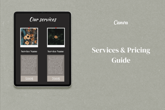 Professional Pricing Guide Templates for Service Providers